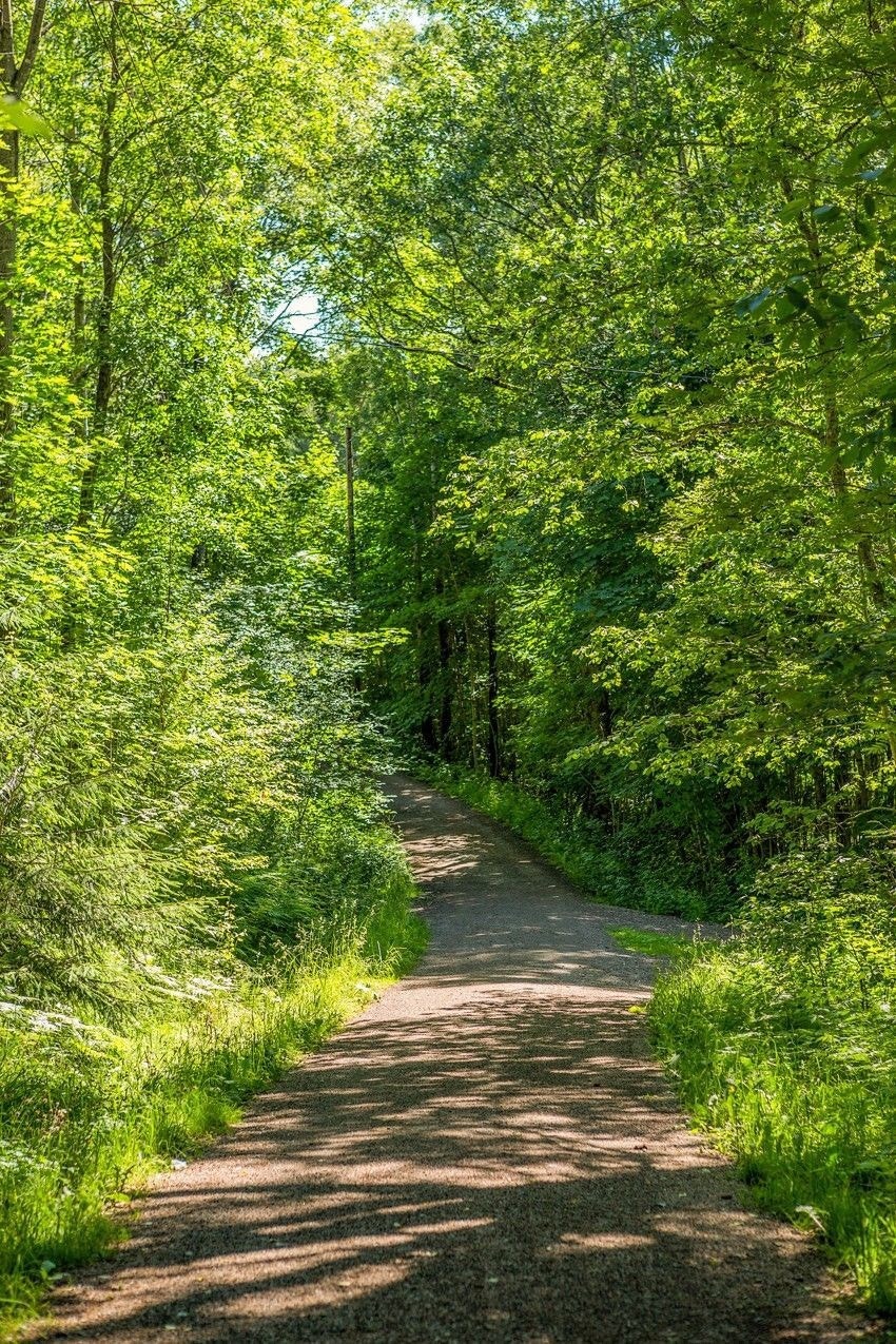 Lokal lysløypesti på ca. 2 km som strekker seg rundt sørsiden av Lambertseter. Galleribilde