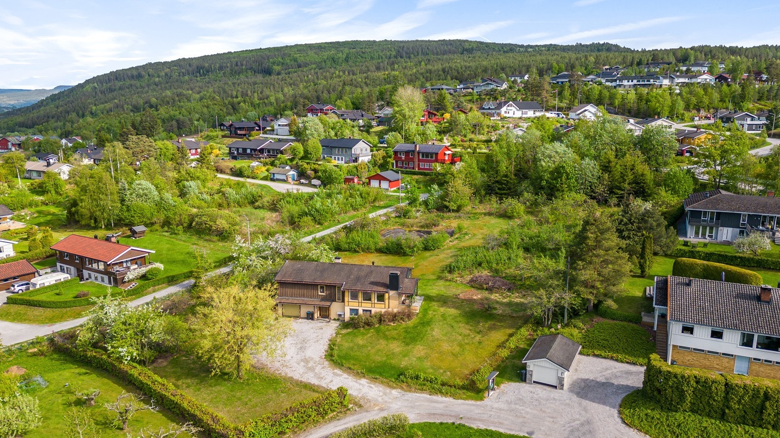 Aktiv v/ Vilde Juvet Steinmoen har gleden av å presentere Reina 3! Galleribilde