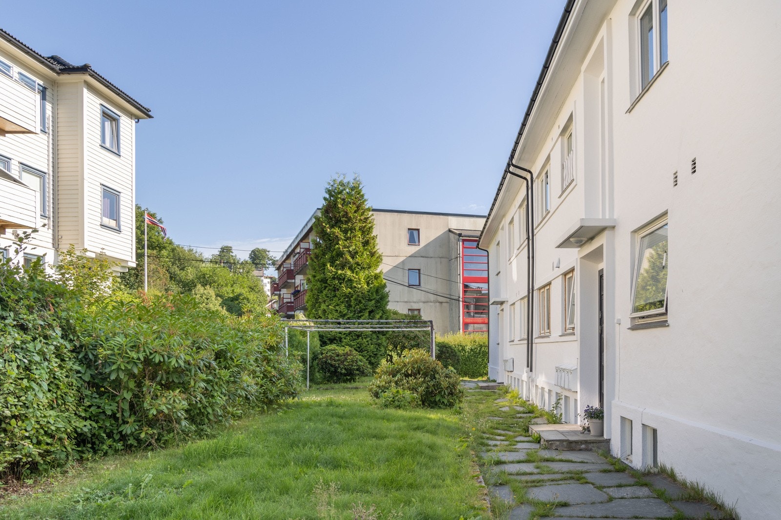 Grønt, frodig og skjermet Galleribilde