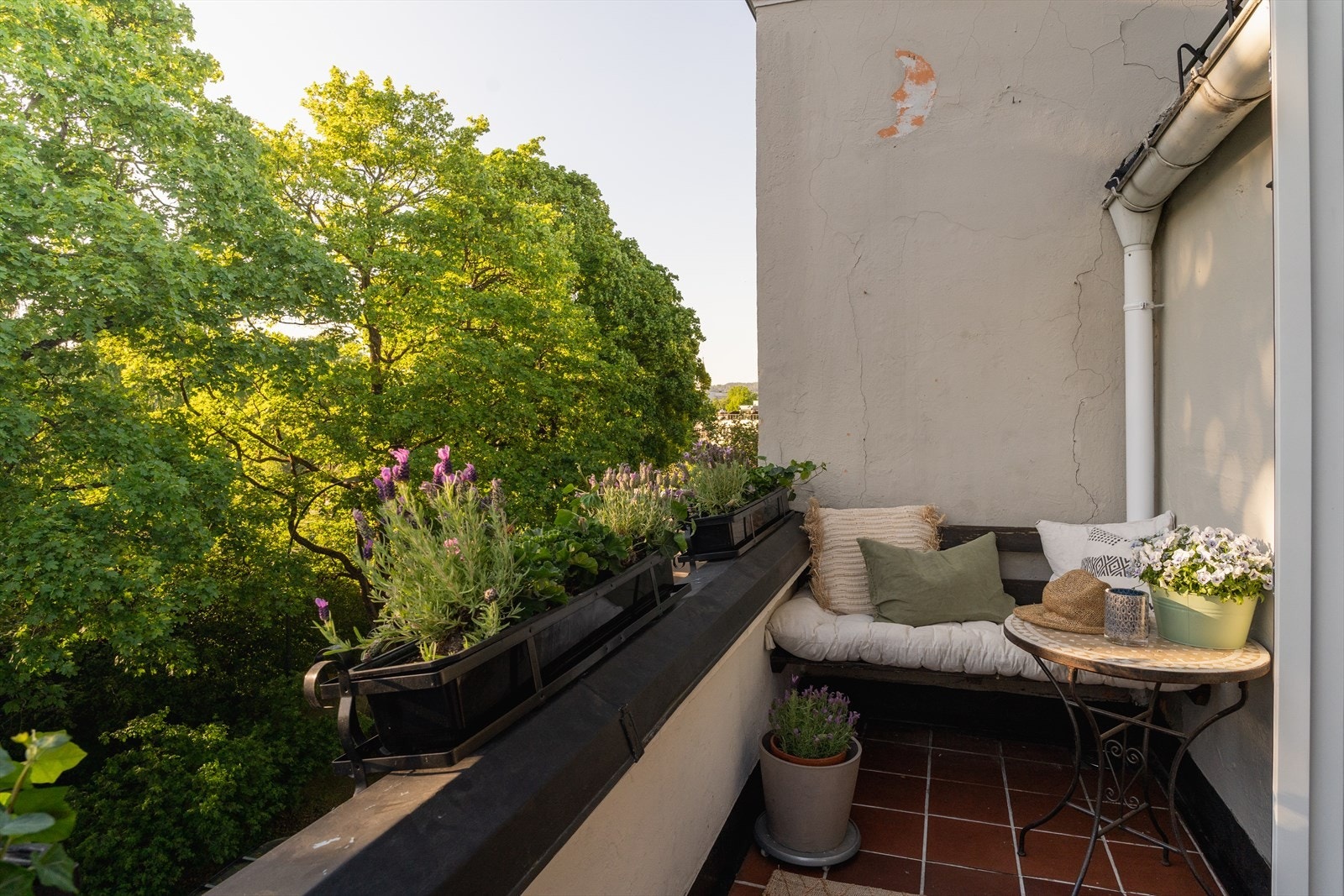 Her fra har man en nydelig utsikt over idylliske St. Hanshaugen park. Det er god plass til sitteplasser og grill Galleribilde