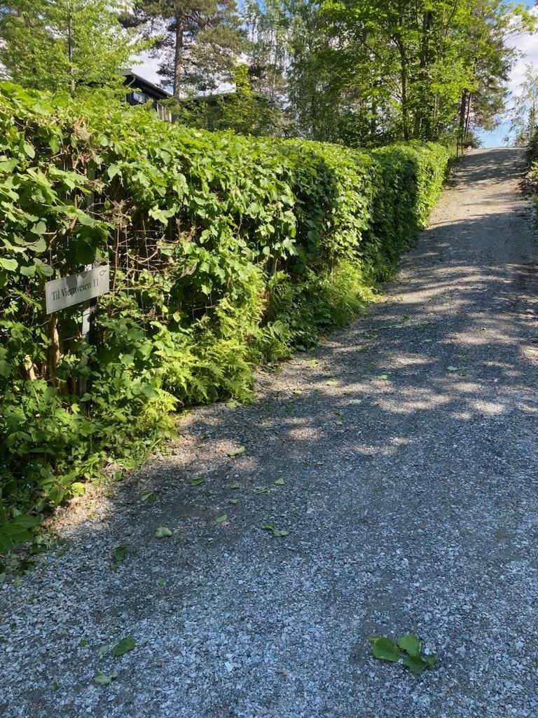Eier har fått opparbeidet en bred og fin adkomstvei som er egnet for både traktor og sykkel Galleribilde