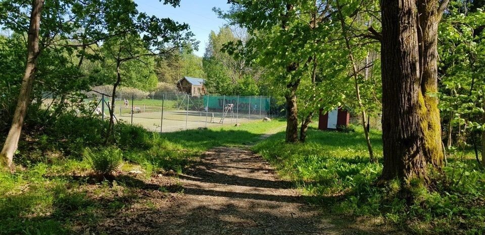 Brønnøya har egen tennisklubb hvor man kan tegne bl.a. familiemedlemskap Galleribilde