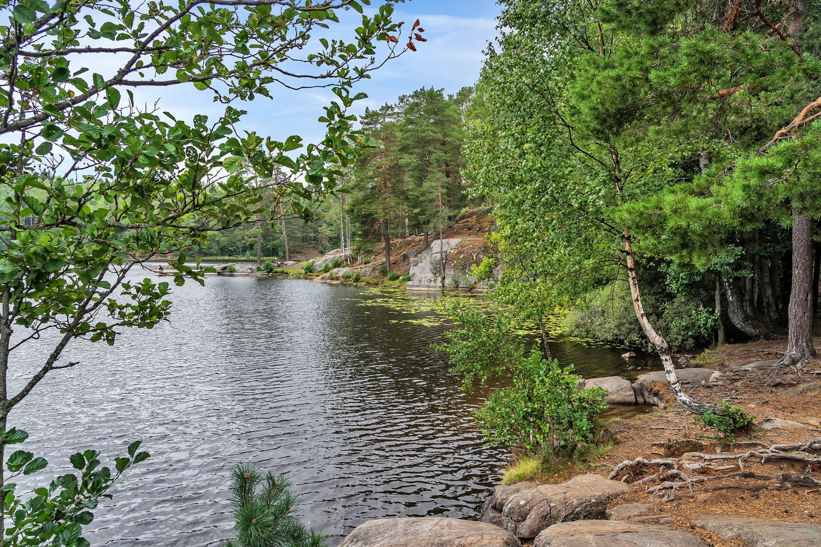 Nærområde - Østmarka med flotte turmuligheter. Galleribilde