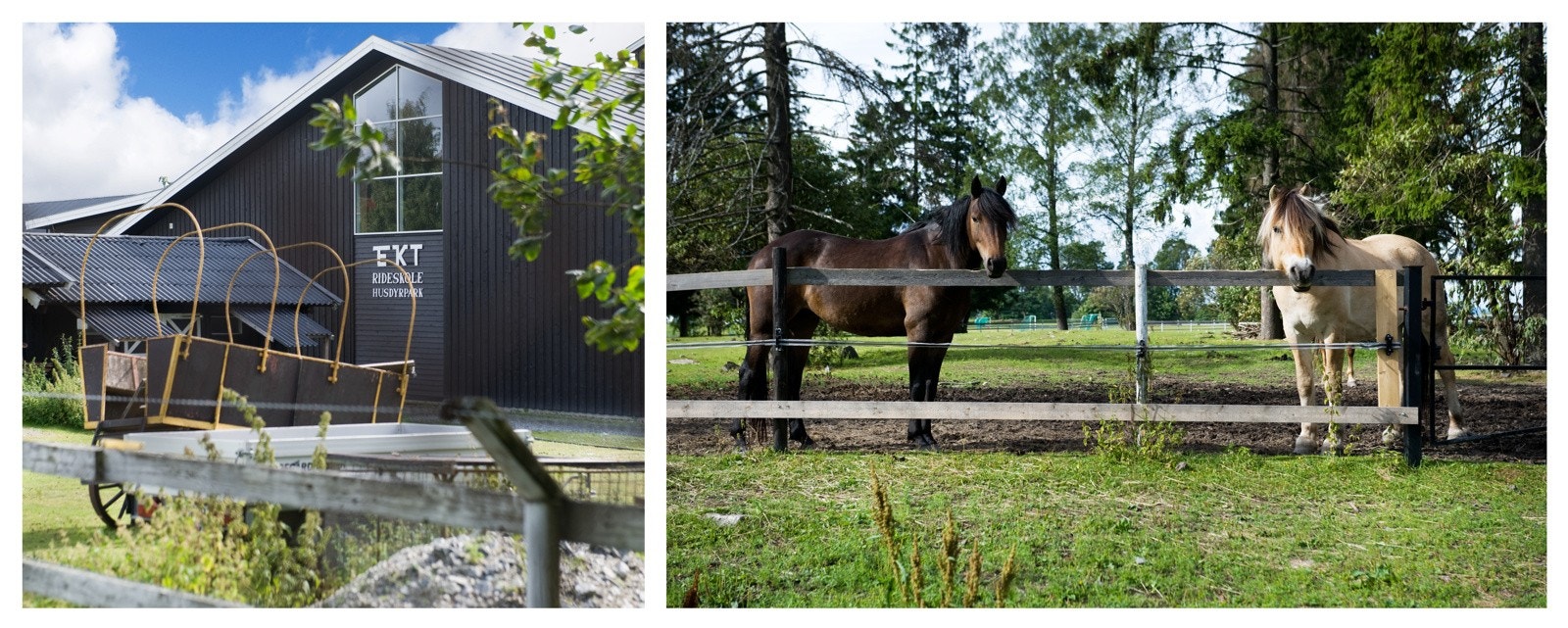 EKT rideskole og husdyrpark ligger i nærheten Galleribilde