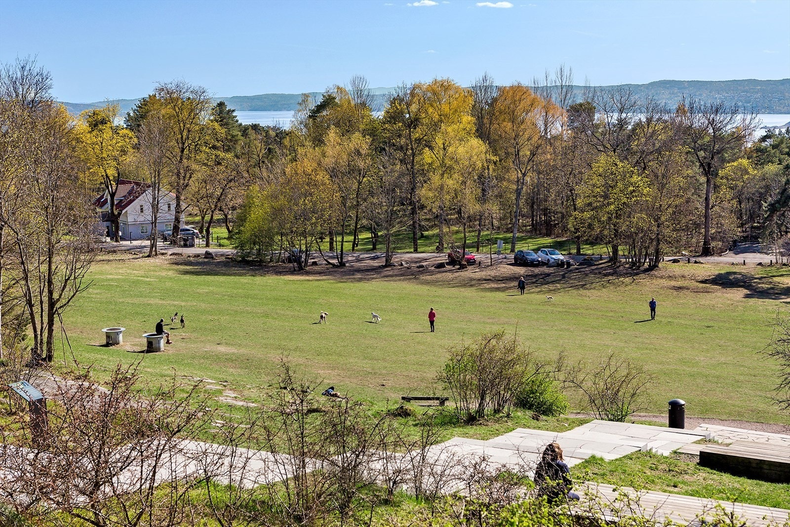 Ekebergparken i nærheten Galleribilde