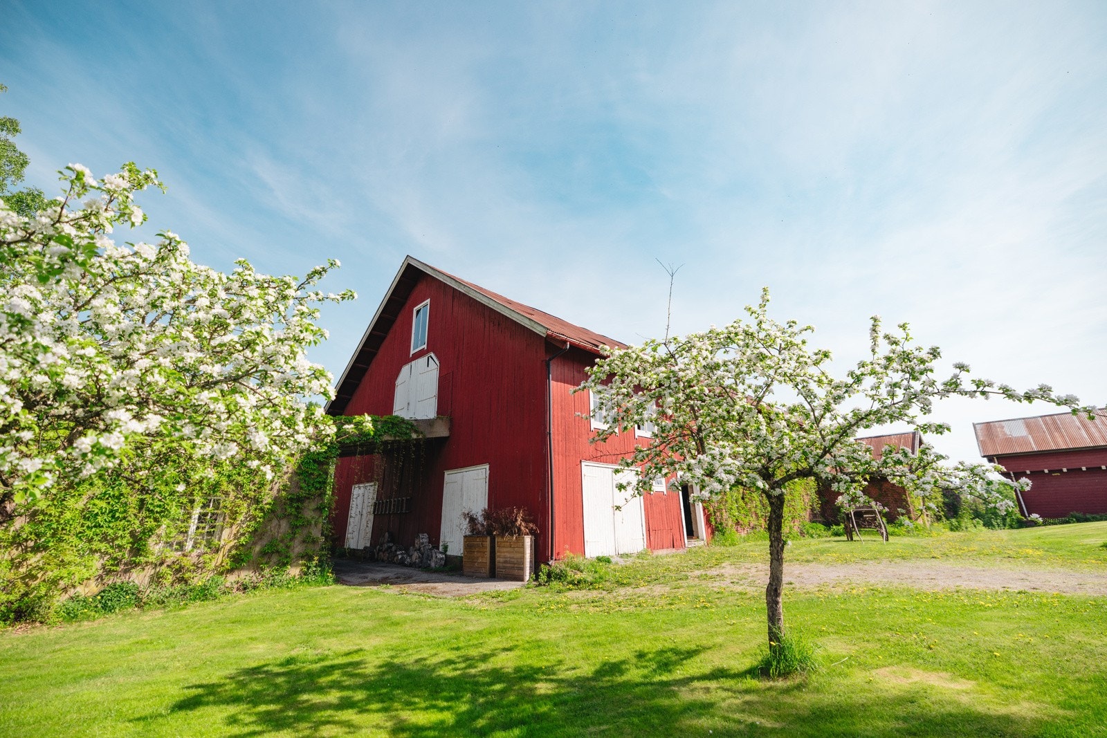 Den store eplehagen med gamle frukttrær, og tunets beliggenhet langs Vollenveien sammen med andre gårdstun, gir det høy miljøverdi Galleribilde