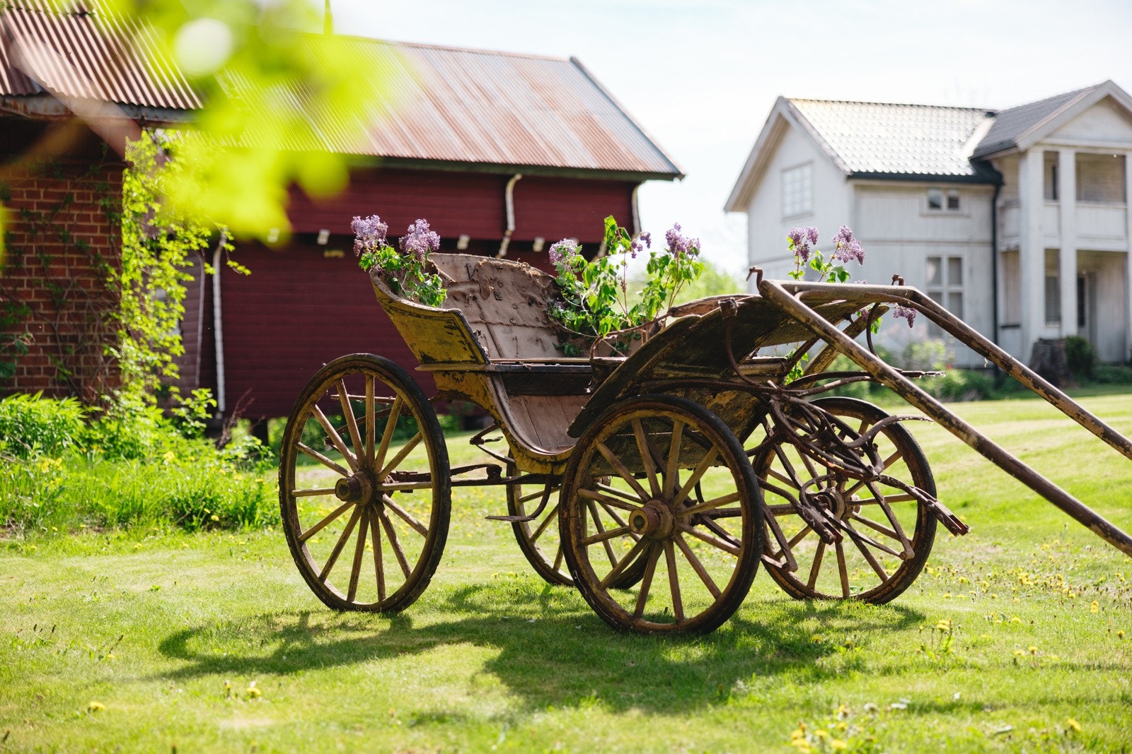 Harald Stange sin gamle hestevogn Galleribilde