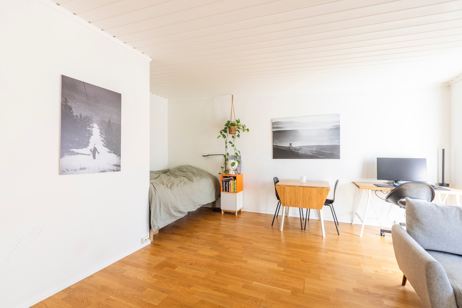 Stue med plass til spisegruppe, sofa og TV-møblement Galleribilde