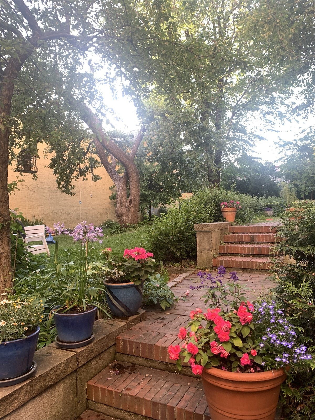 Aksjelaget har tilgang til en flott bakgård som er opparbeidet med plen, beplantning, sittegrupper og sykkelparkering. Galleribilde