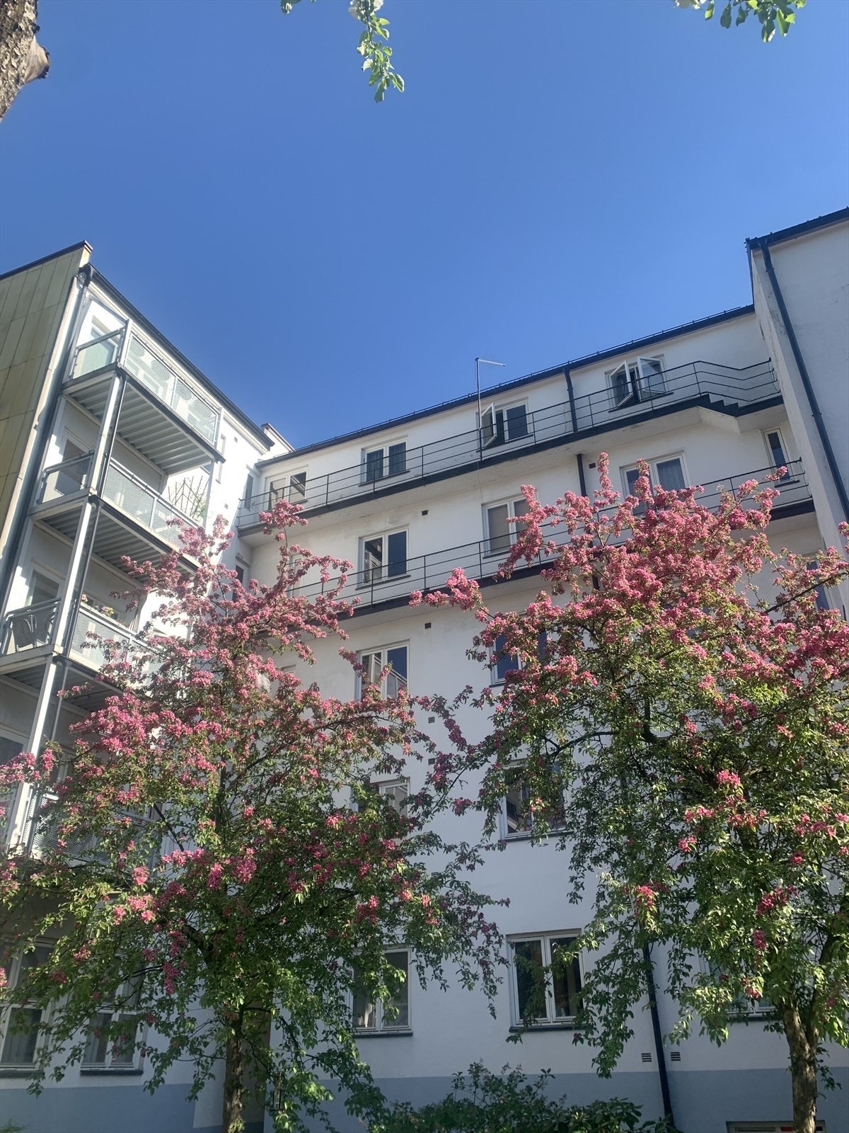 Leiligheten ligger i 2. etasje bak de blomstrende prydepletrærene. Galleribilde