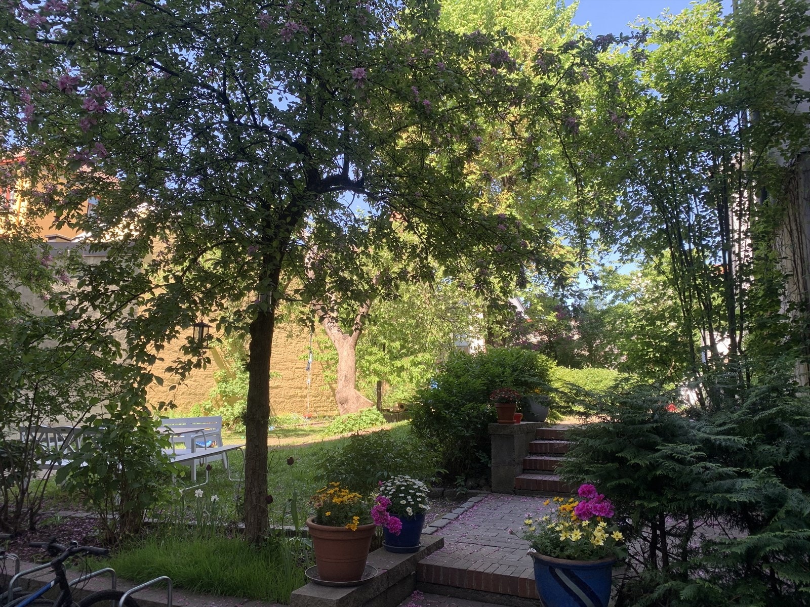 Her får du glede av en grønn oase midt i byen! Galleribilde