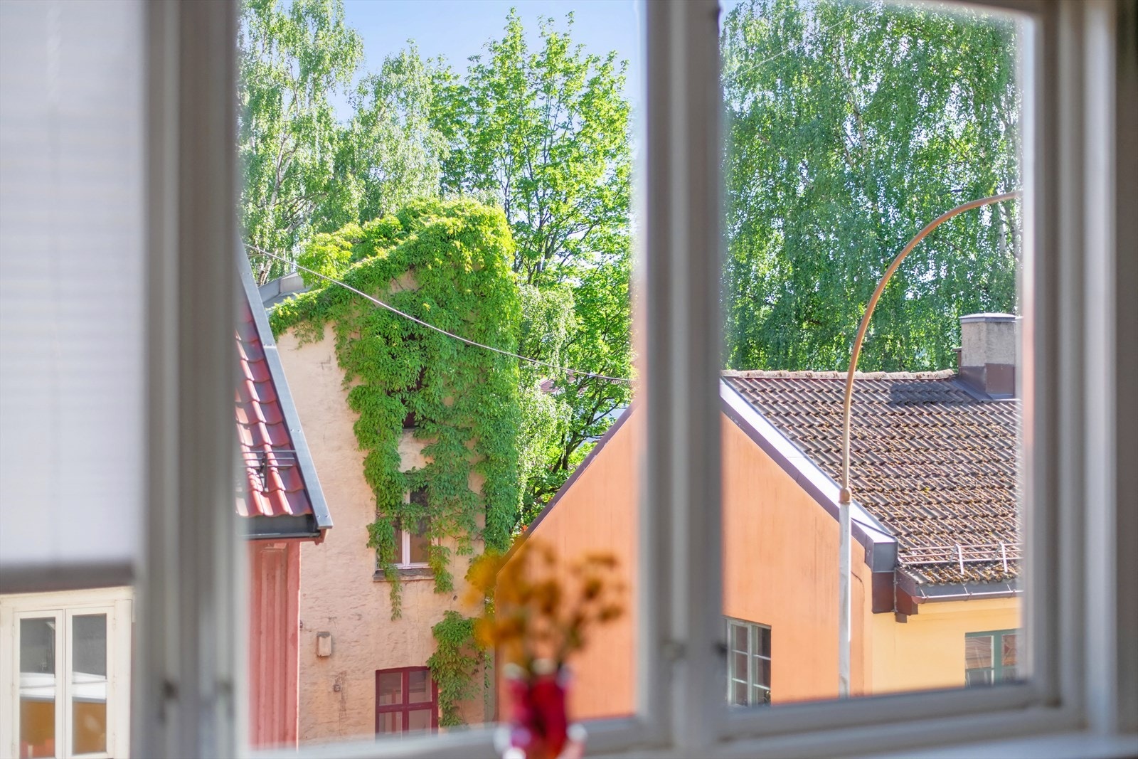 Trivelig utsikt mot Kampens særegne trehusbebyggelse. Galleribilde