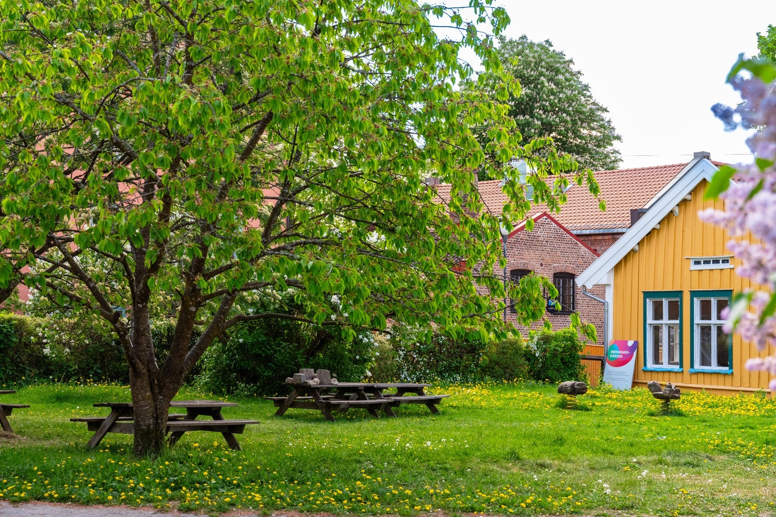 Rett opp trappen fra bakgården ligger Biermannsgården med tilhørende parkområde. Galleribilde