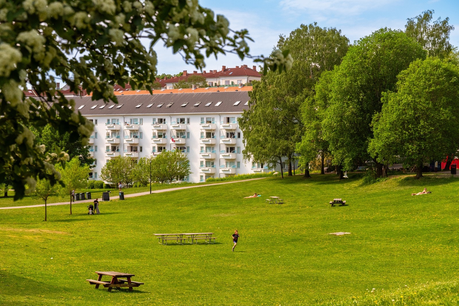 Det er fine grøntarealer på begge sider av leiligheten. Galleribilde