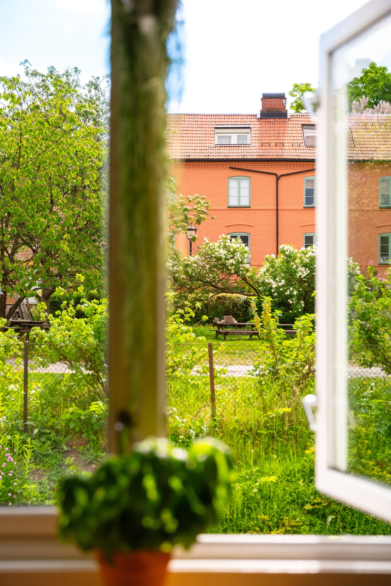 Vinduet gir rommet godt med naturlig lysinnslipp. Galleribilde