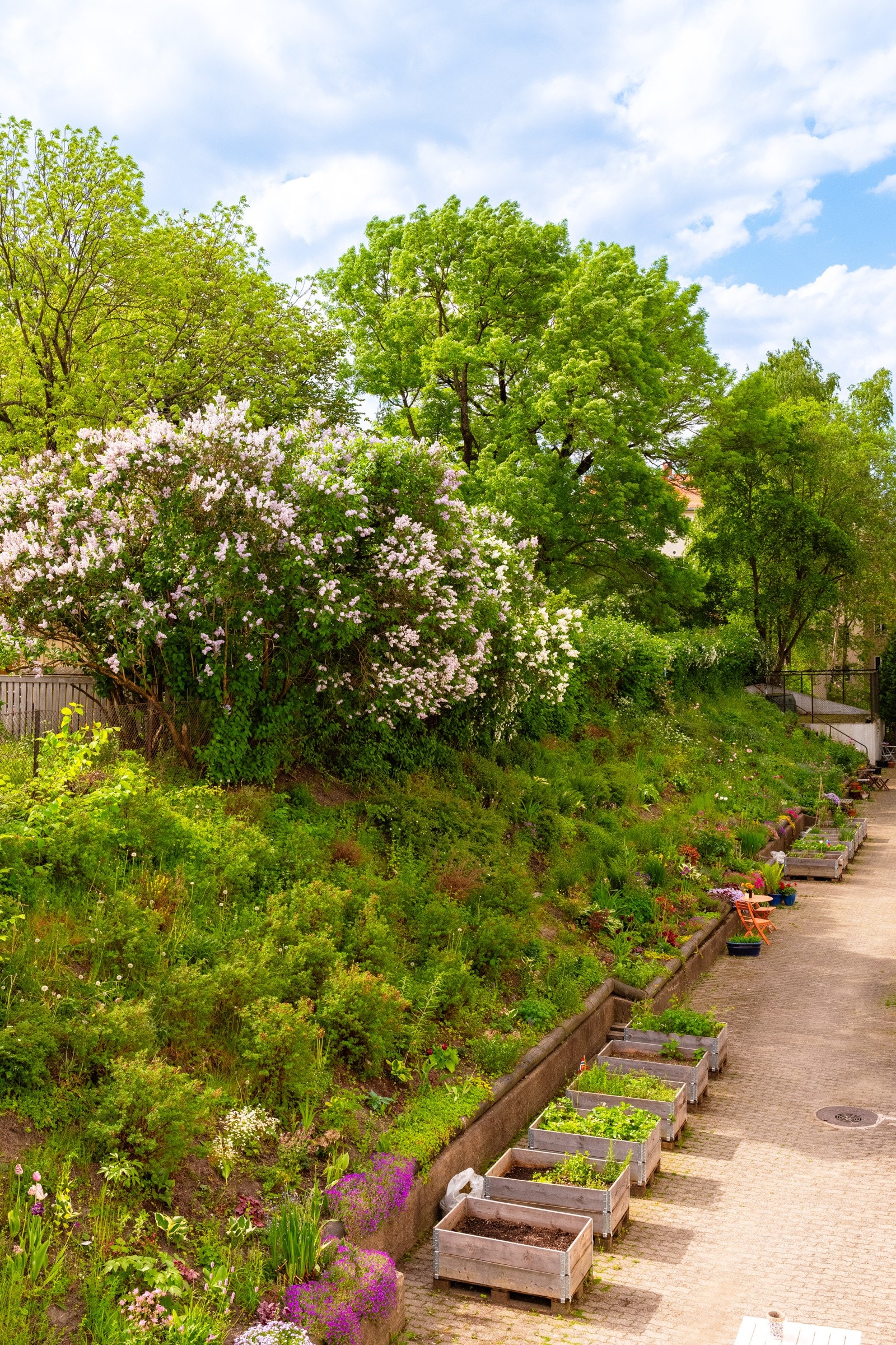 Det er hyggelige fellesarealer og nabolag. Galleribilde