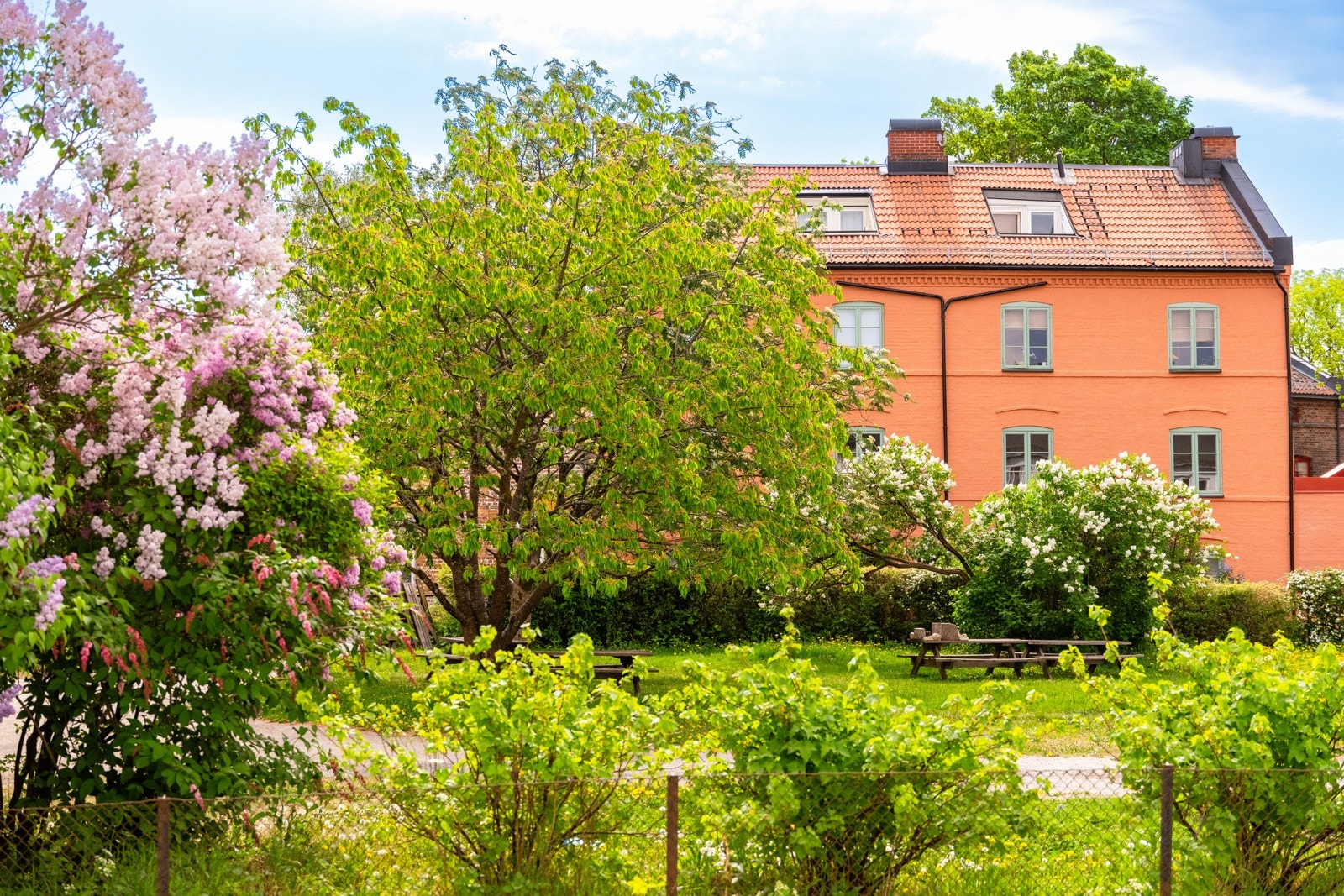 Her bor du i en stille og rolig gate. Galleribilde