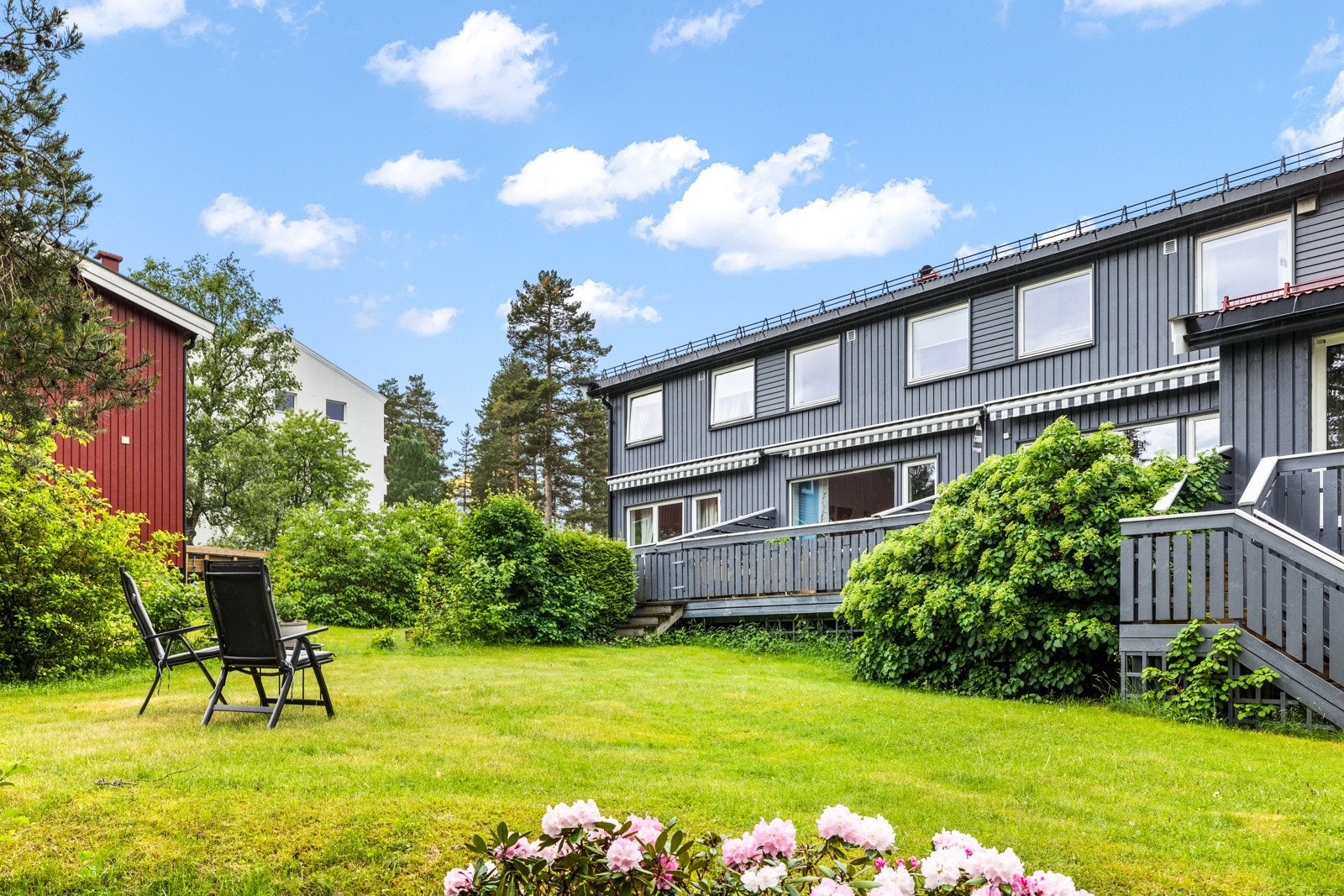 Gressplen grensende til friområde/skog Galleribilde