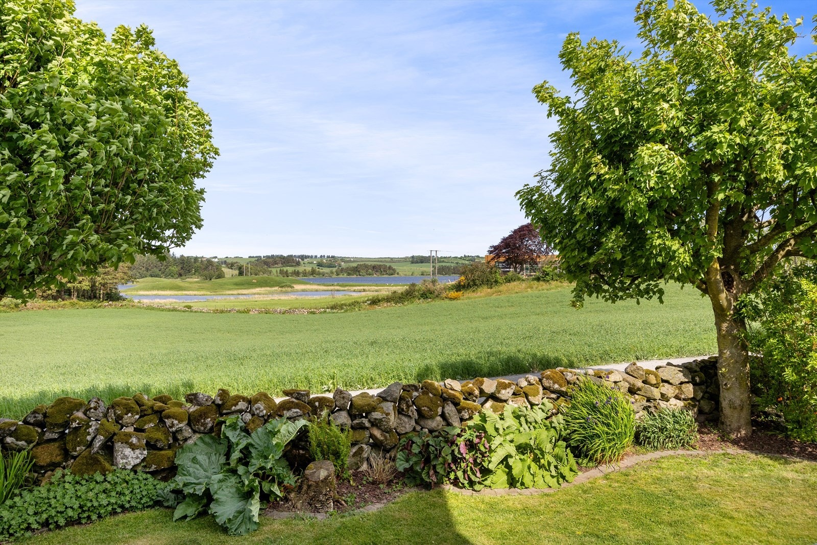 Flott utsikt ut mot landskapet og Frøylandsvatnet. Galleribilde
