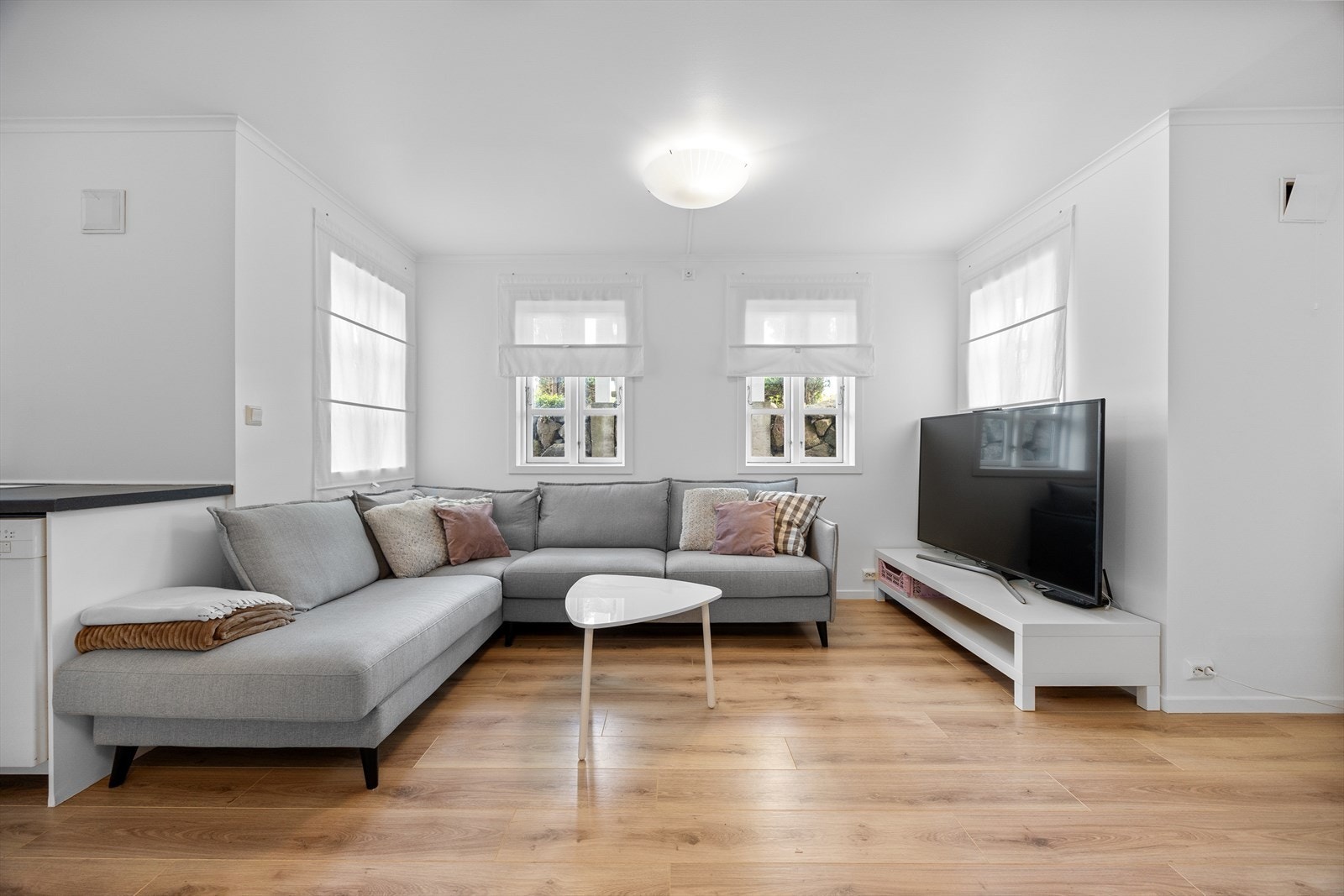 Kjeller: Stue/kjøkken Galleribilde