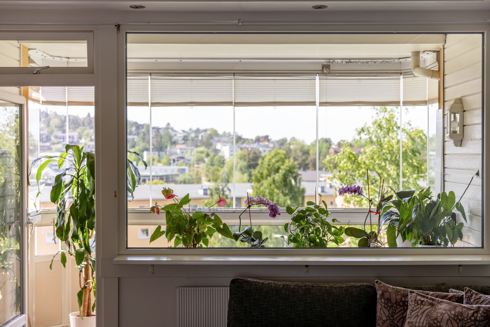 Alle vinduene i leiligheten var nye i 2020, og det er brede vinduskarmer for planter og dekor. Galleribilde