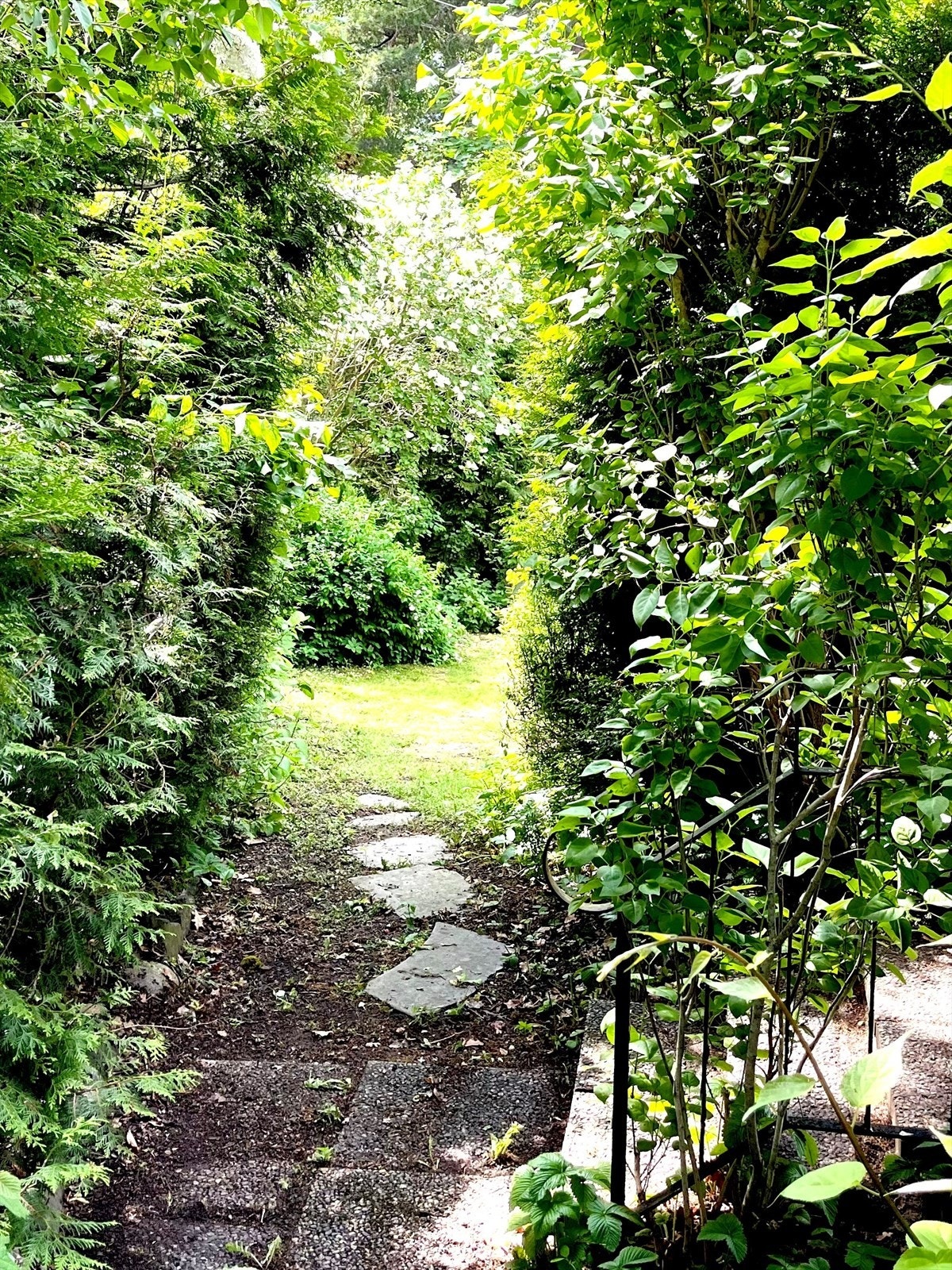 Parti fra hagen Galleribilde