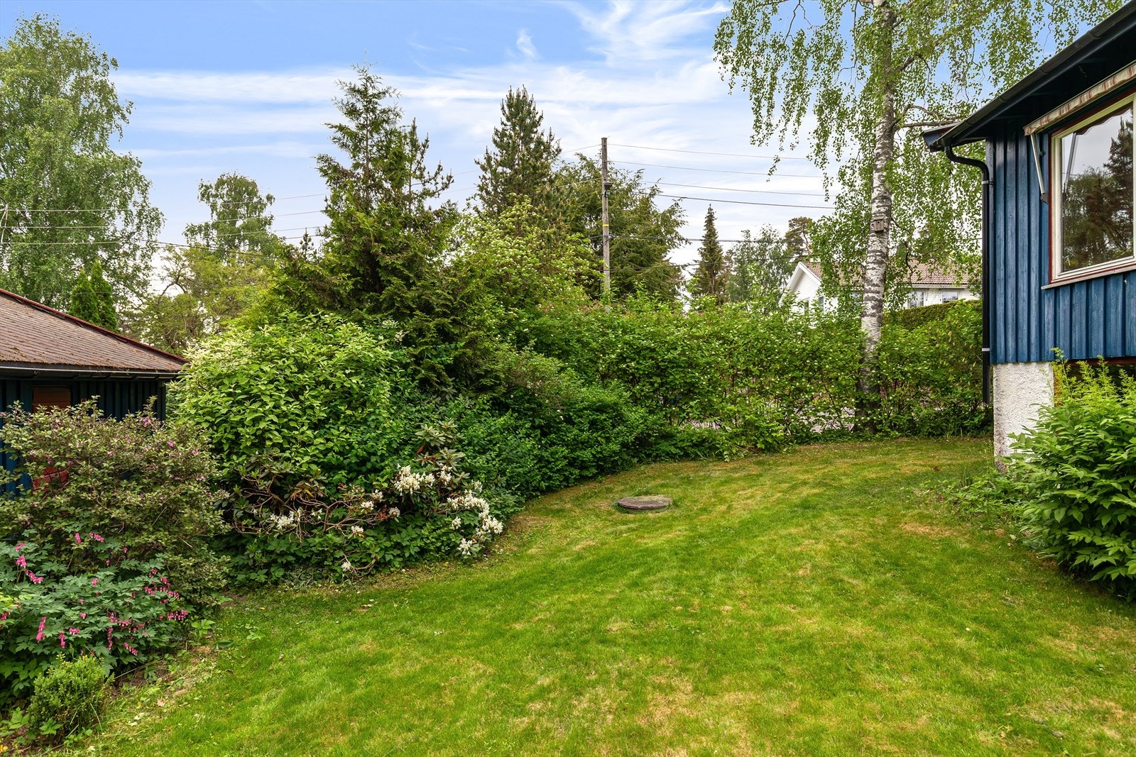 Bilde fra hagen foran huset Galleribilde