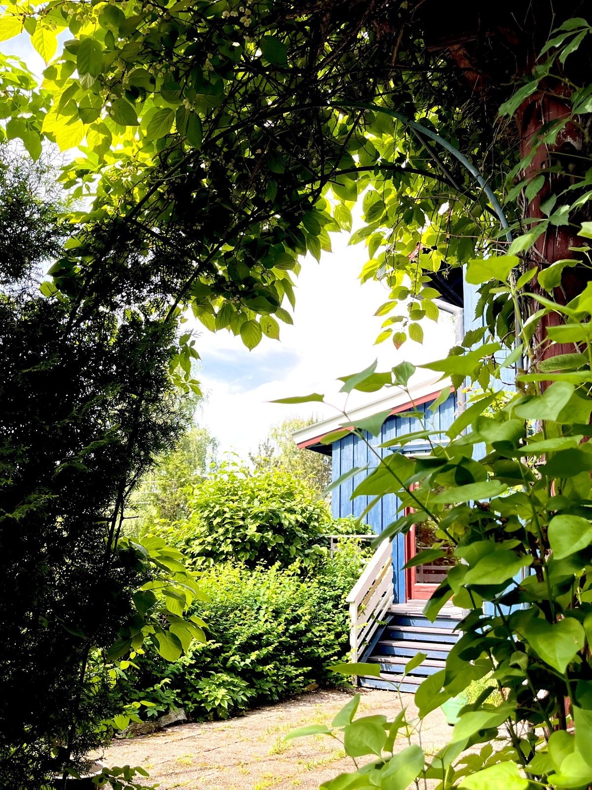 Bilde mot terrassen og inngang til stuen Galleribilde