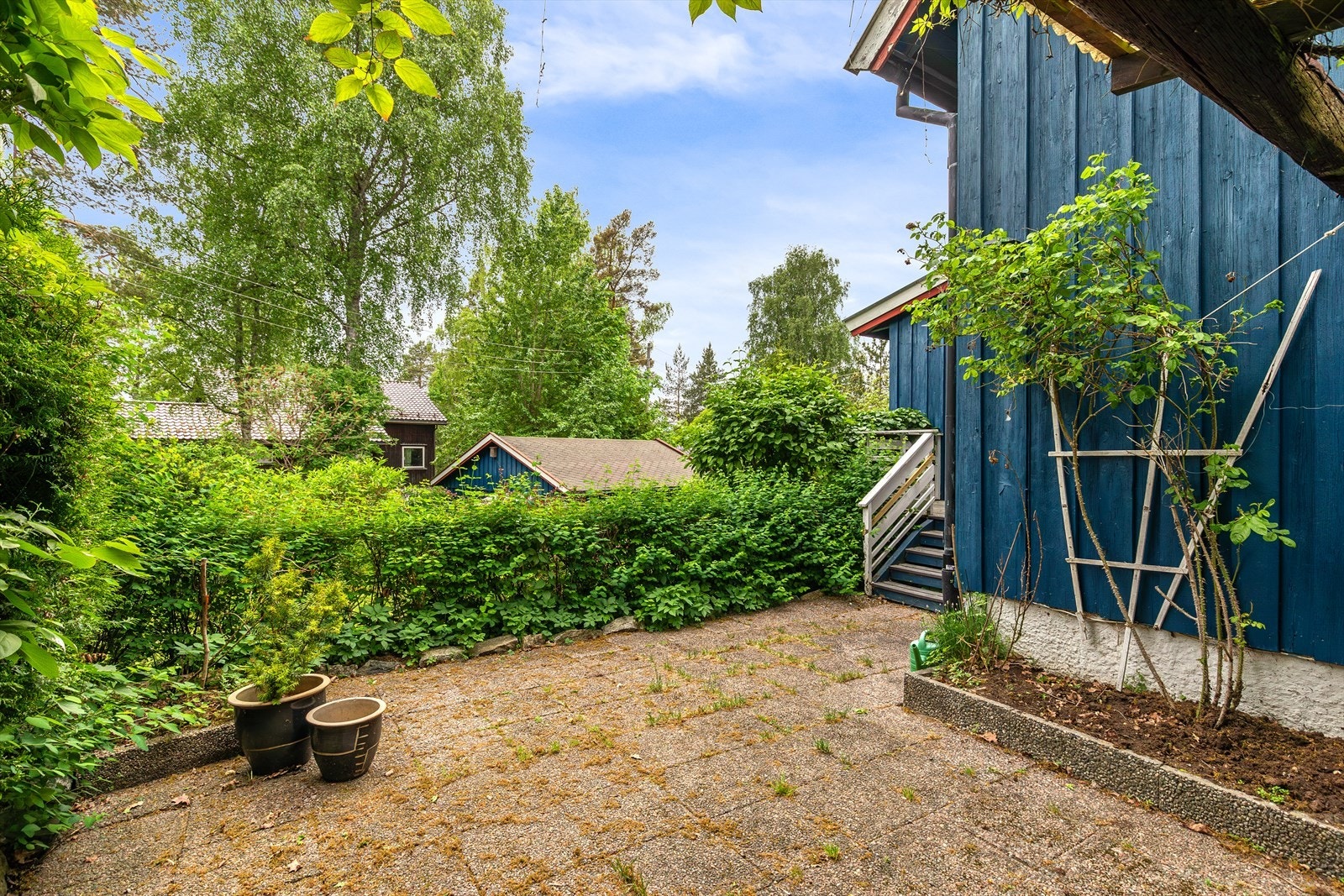 Den hellelagte terrassen Galleribilde