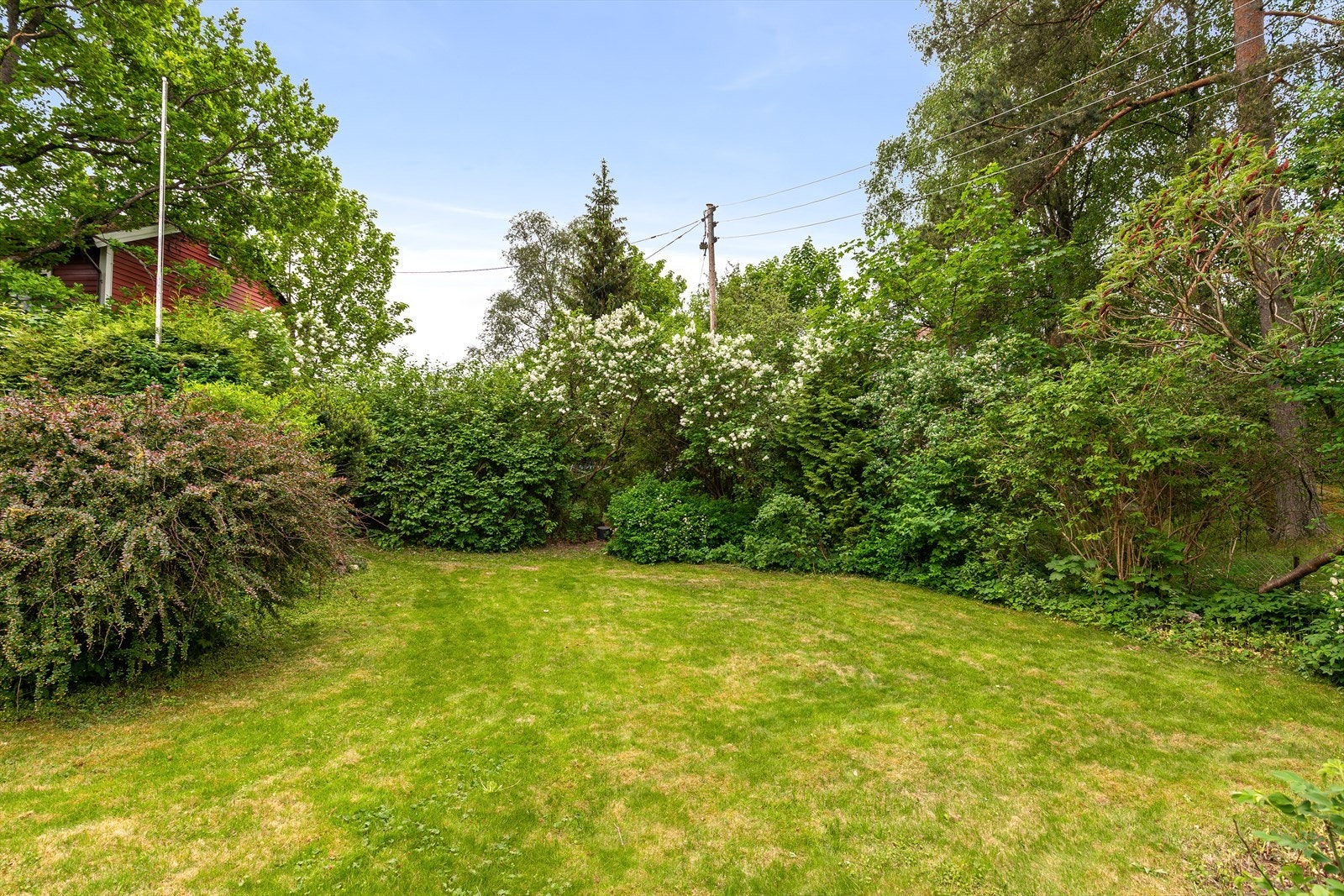 Oversikt over hagen Galleribilde