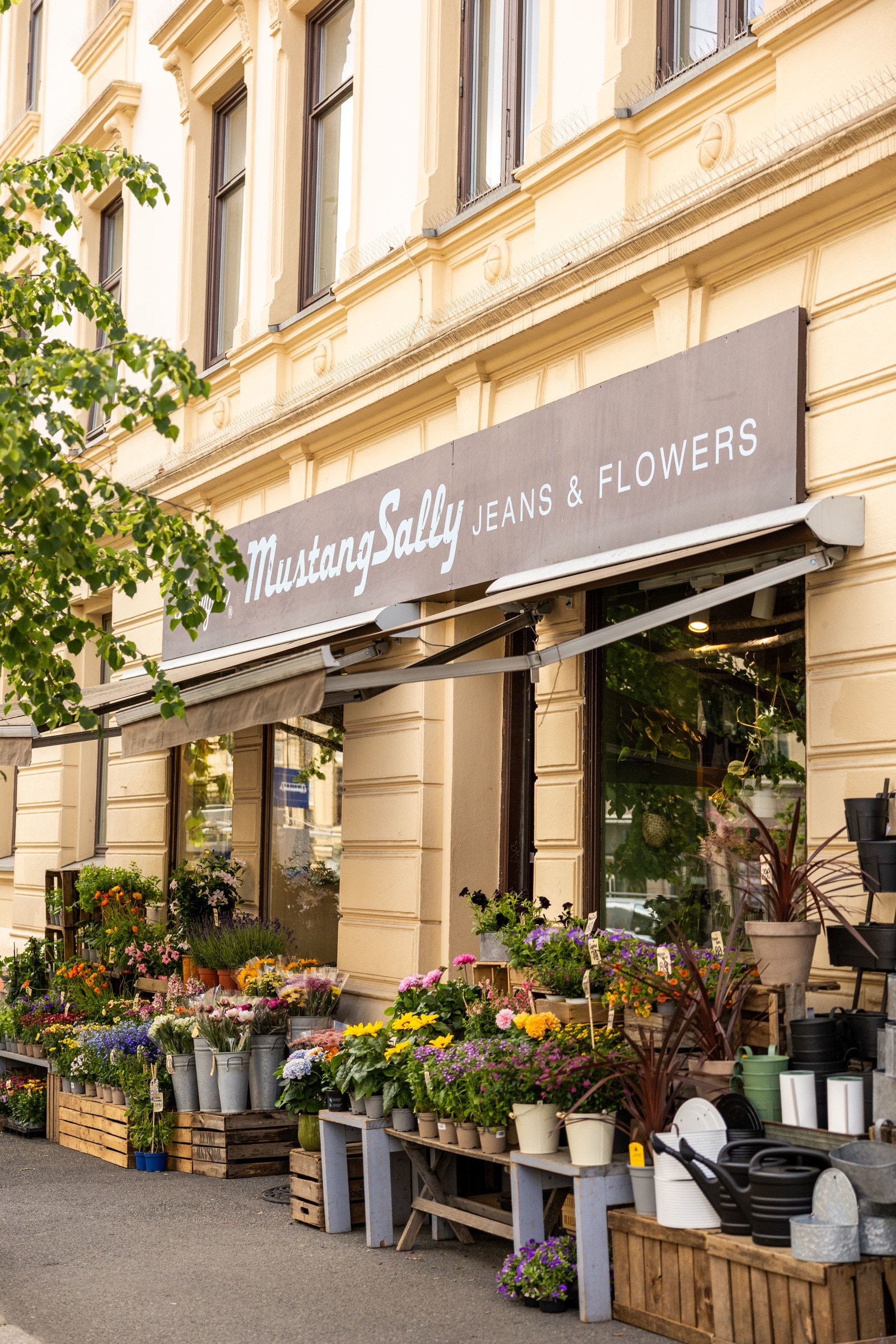 Torshov med hyggelige butikker, populære caféer og shoppingsmuligheter Galleribilde
