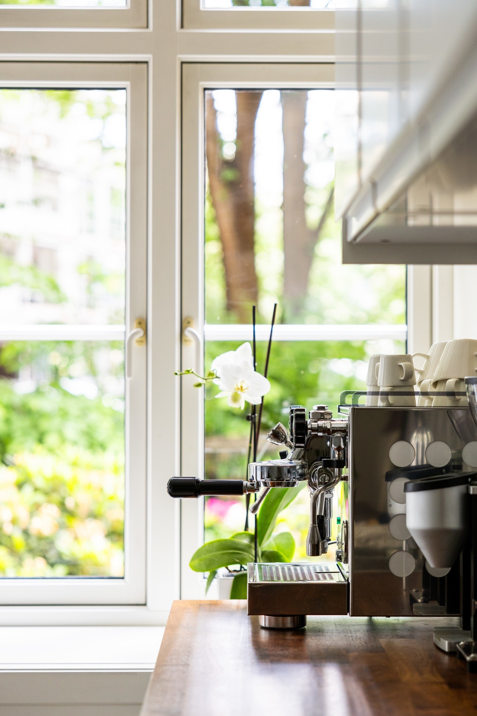 Vendt ut mot rolig og grønn bakgård Galleribilde