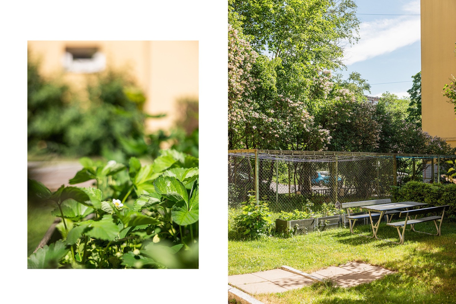 Koselig sitteplass og plantekasser. Galleribilde