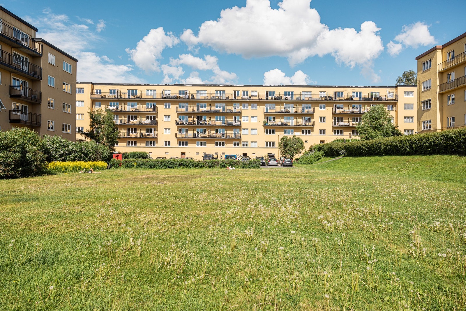 Rikelig med boltreplass for alle og en hver. Galleribilde