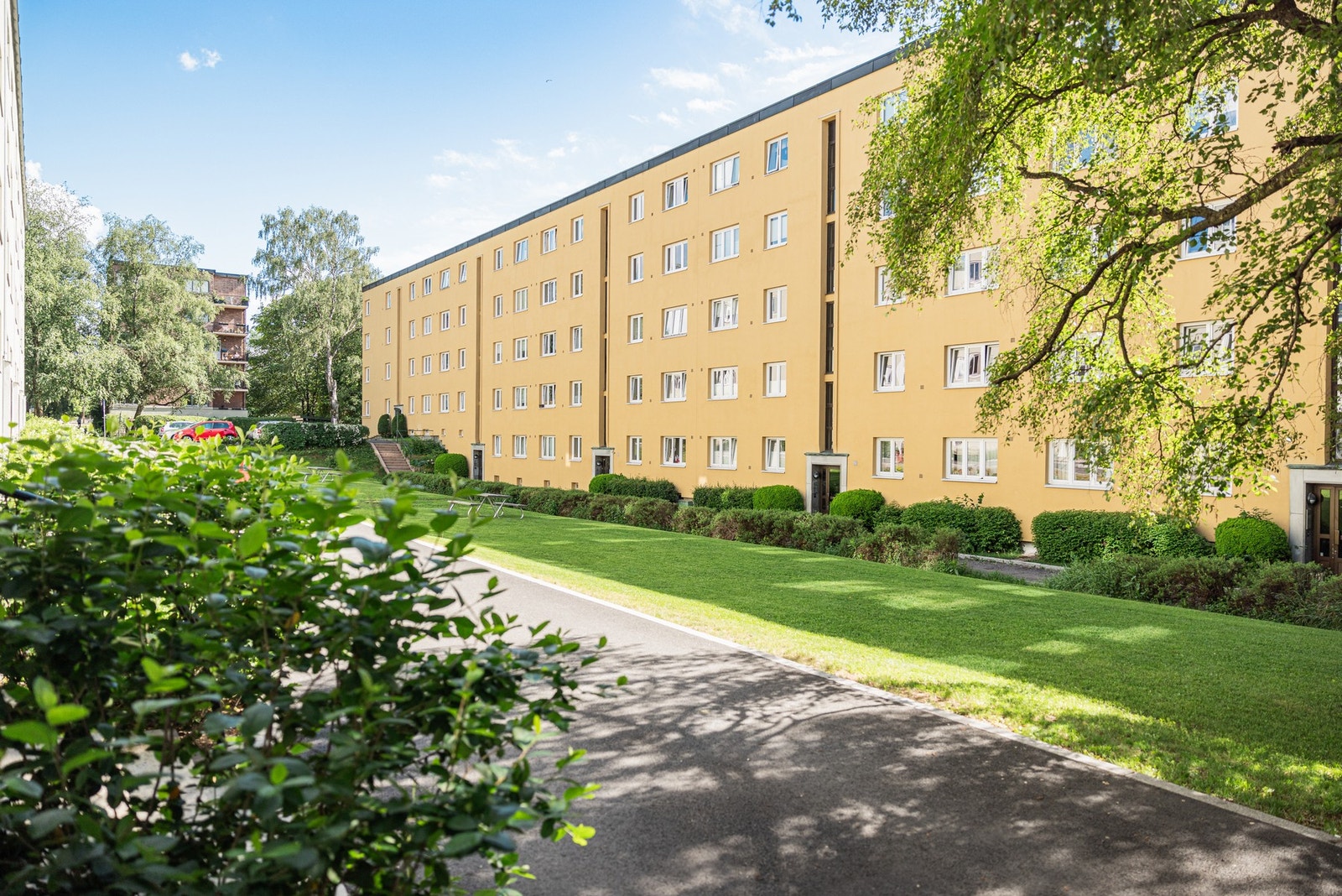 Tilbaketrukket og hyggelig. Galleribilde