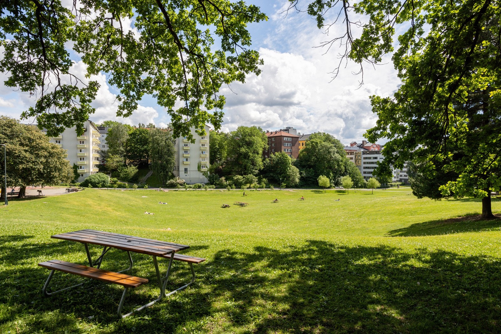 Her bor du med idylliske Ilaparken er nærmeste nabo! Ilaparken er en stor, flott, tilbaketrukket, grønn oase skjermet for biltrafikk og bystøy. En perfekt plass for lange og late sommerdager, grilling, soling og avslapning Galleribilde
