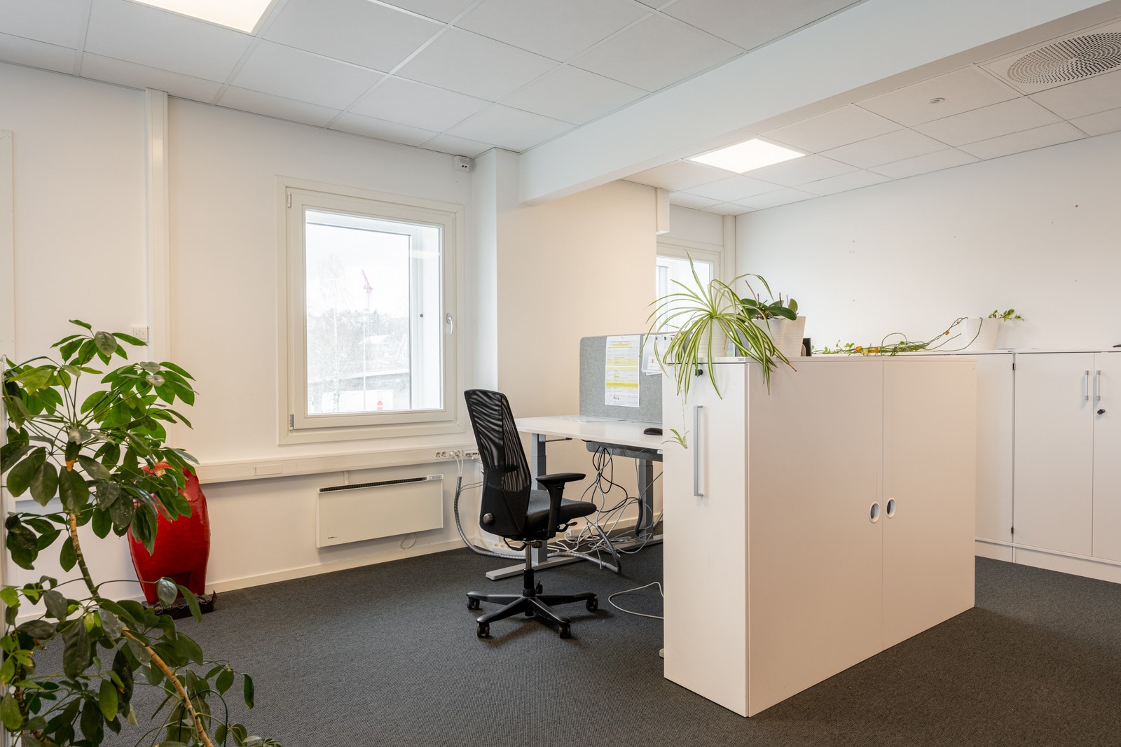 Eiendommen har en egen kontorfløy for de ansatte Galleribilde