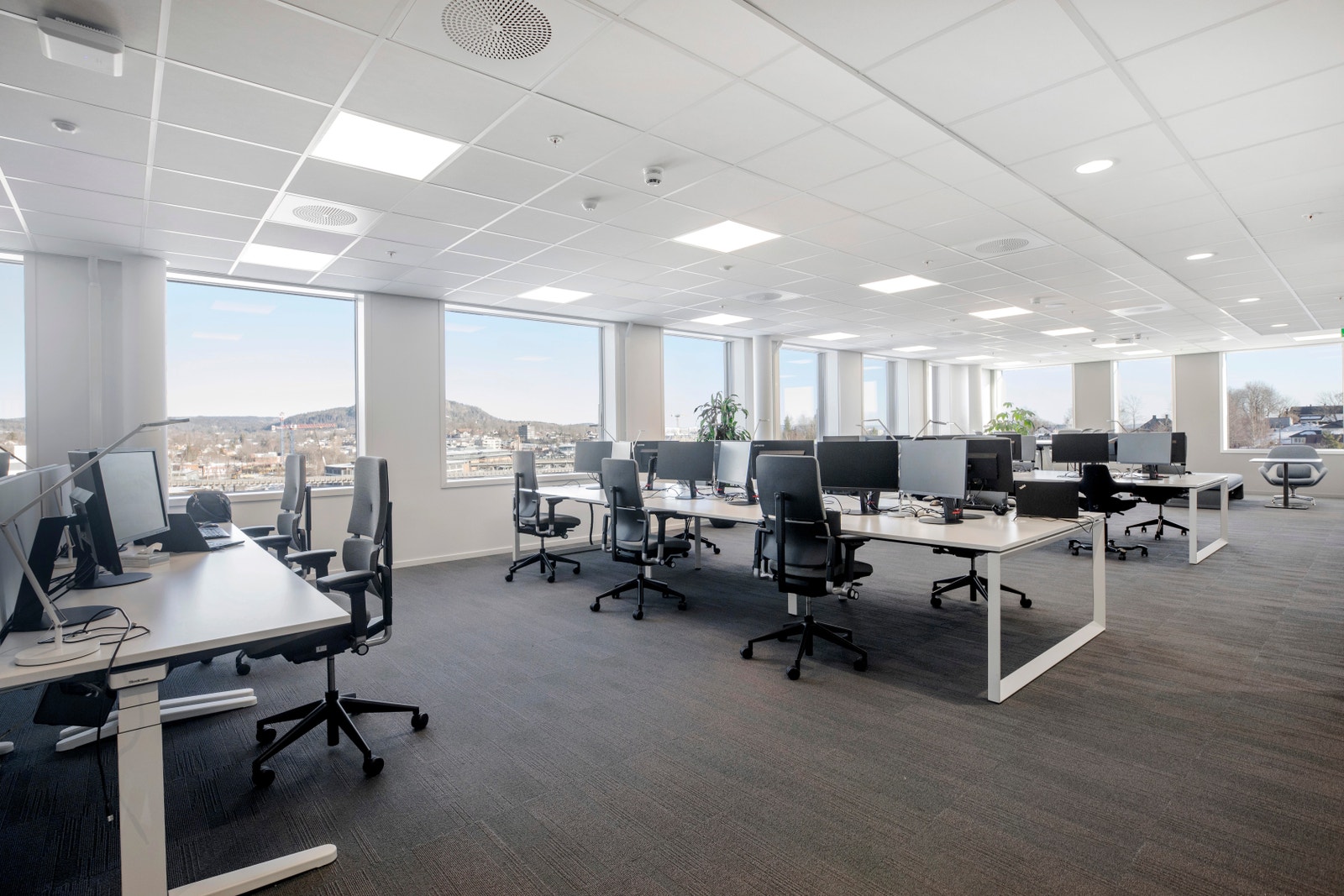 Referansebilder Galleribilde