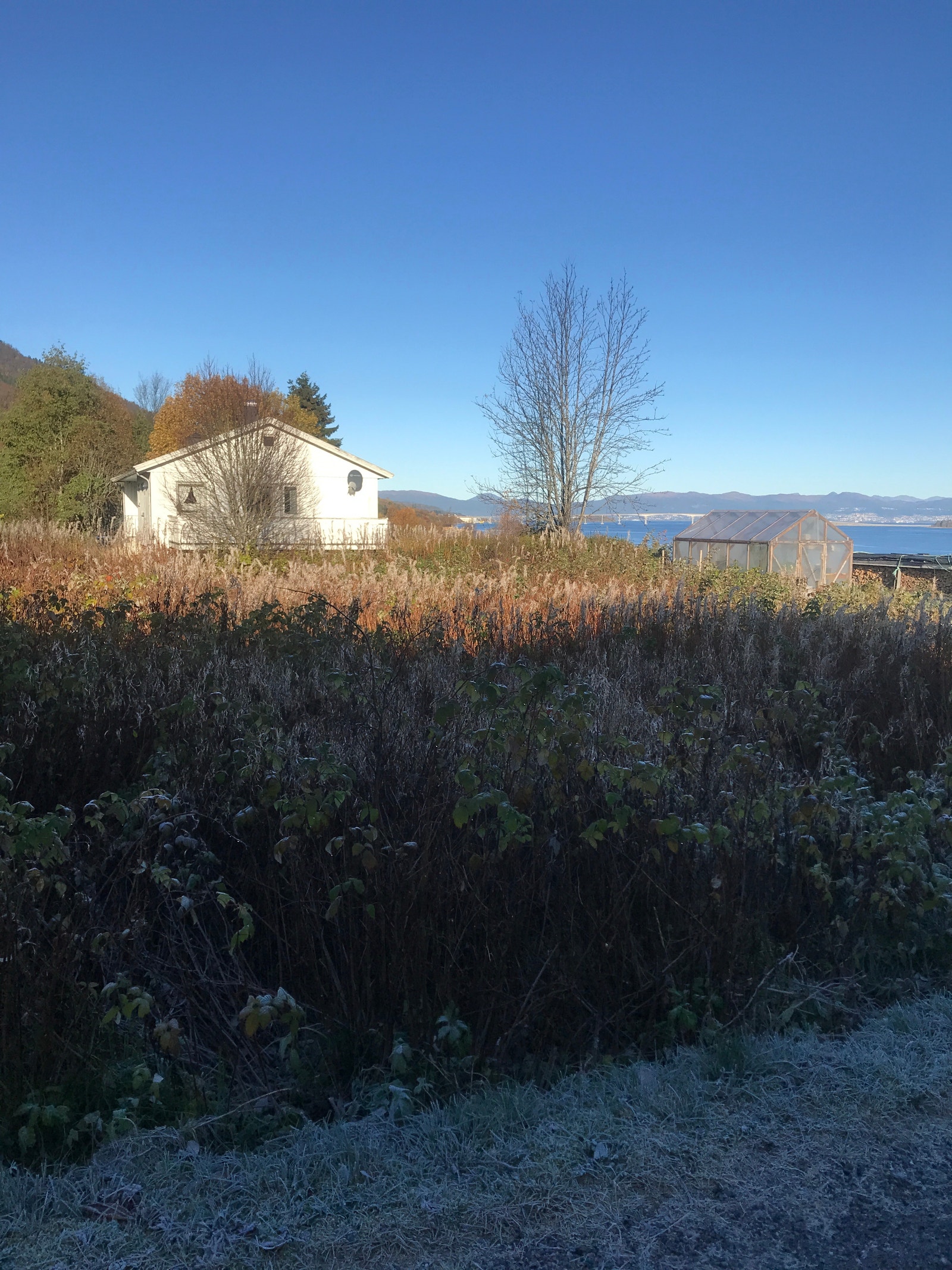 gode solforhold Galleribilde