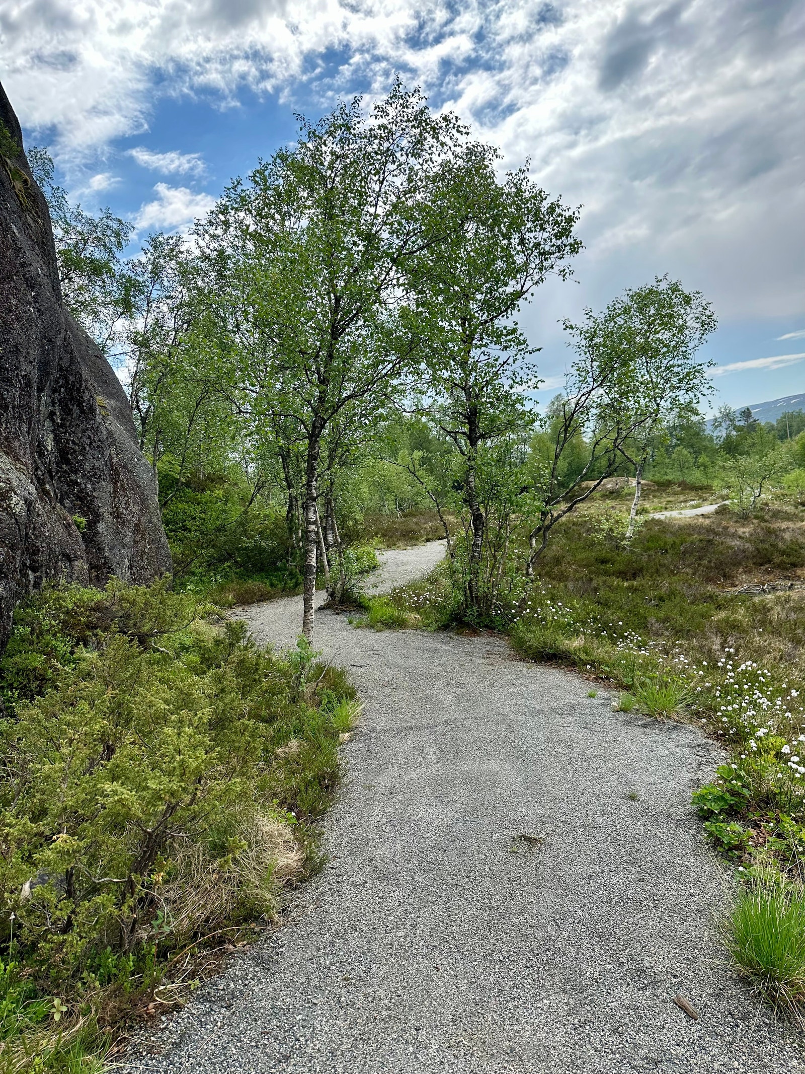 På vei til hytta Galleribilde