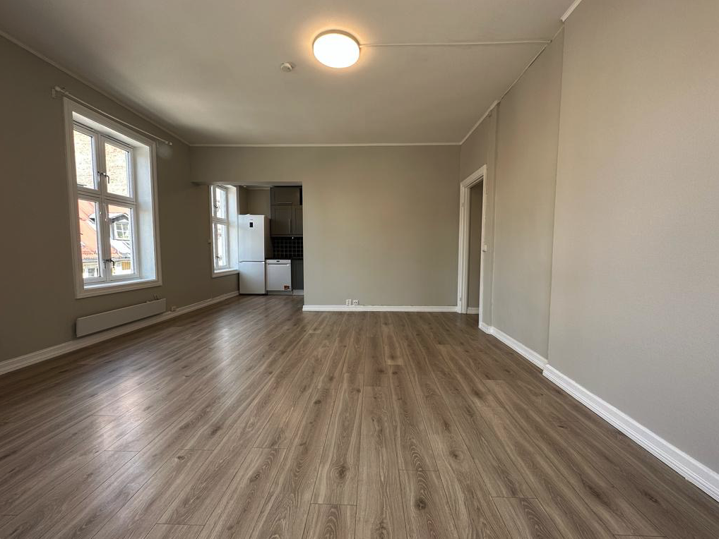 Stue m/ kjøkken Galleribilde