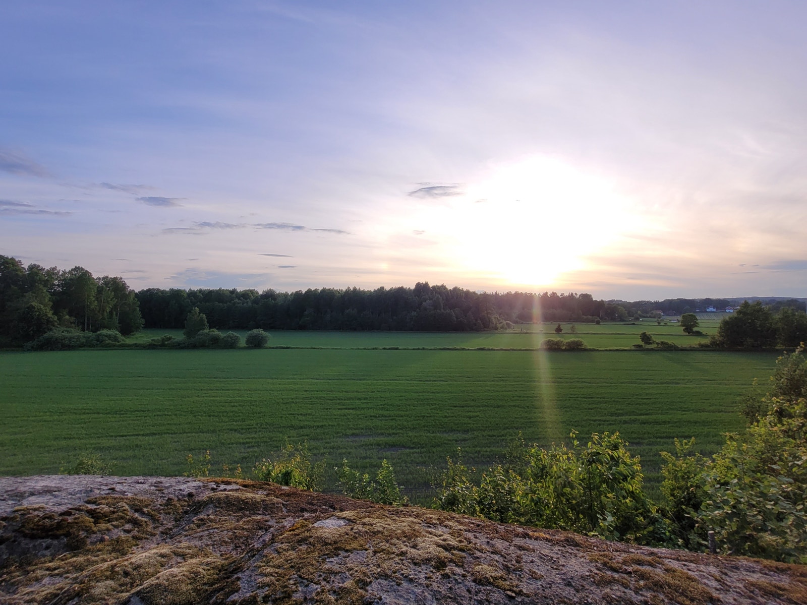 Sol til sent på kveld. Galleribilde