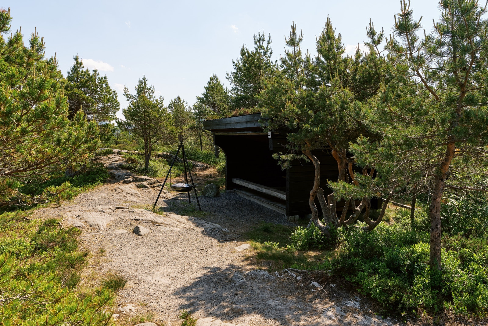 Gapahuk på Holstoppen Galleribilde