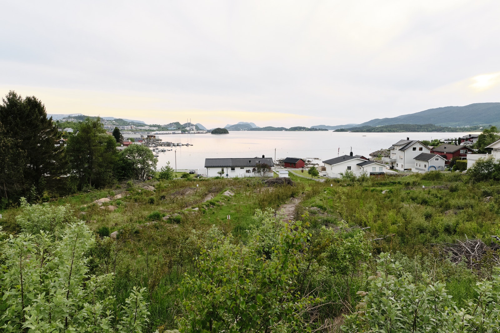 Utsikt fra tomt Galleribilde