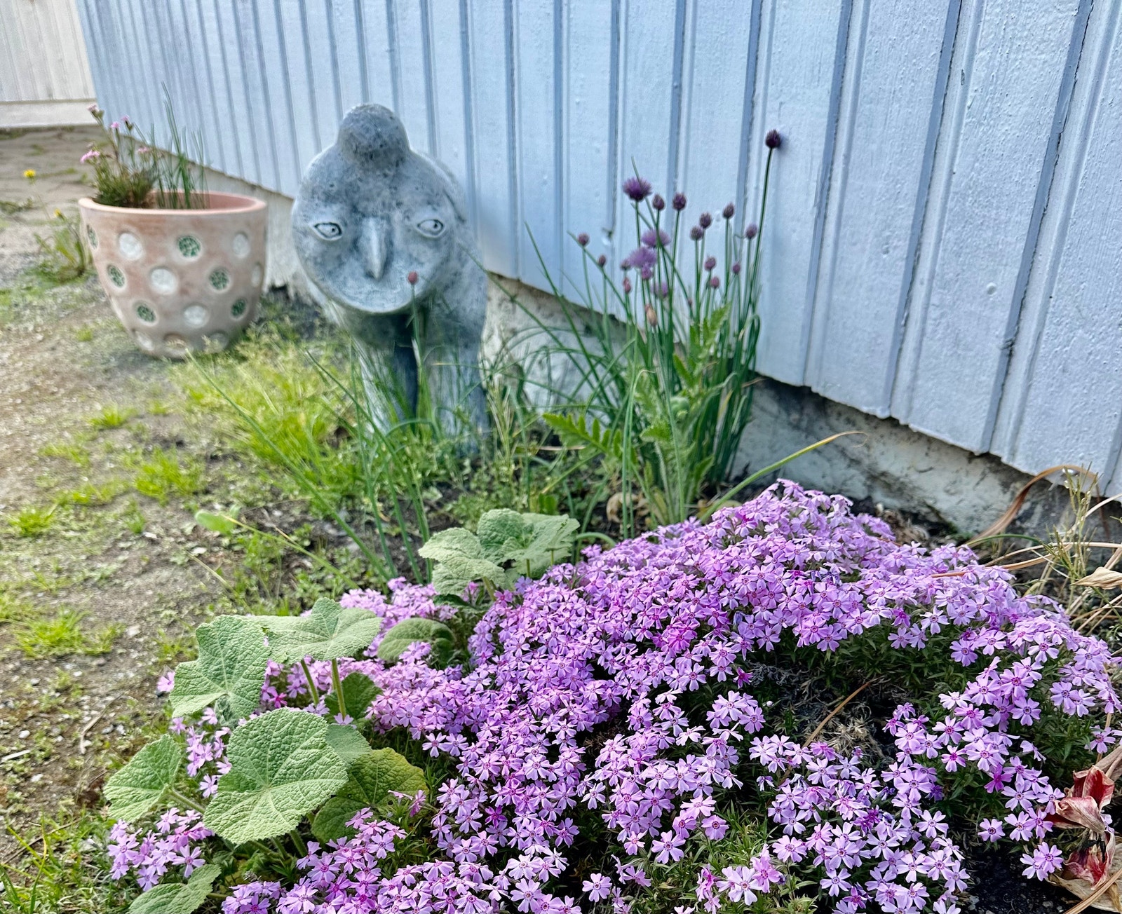 Gårdsplassen og hagen er trivelig med fine blomster og flere sittegrupper hvor solen kan nytes. Galleribilde
