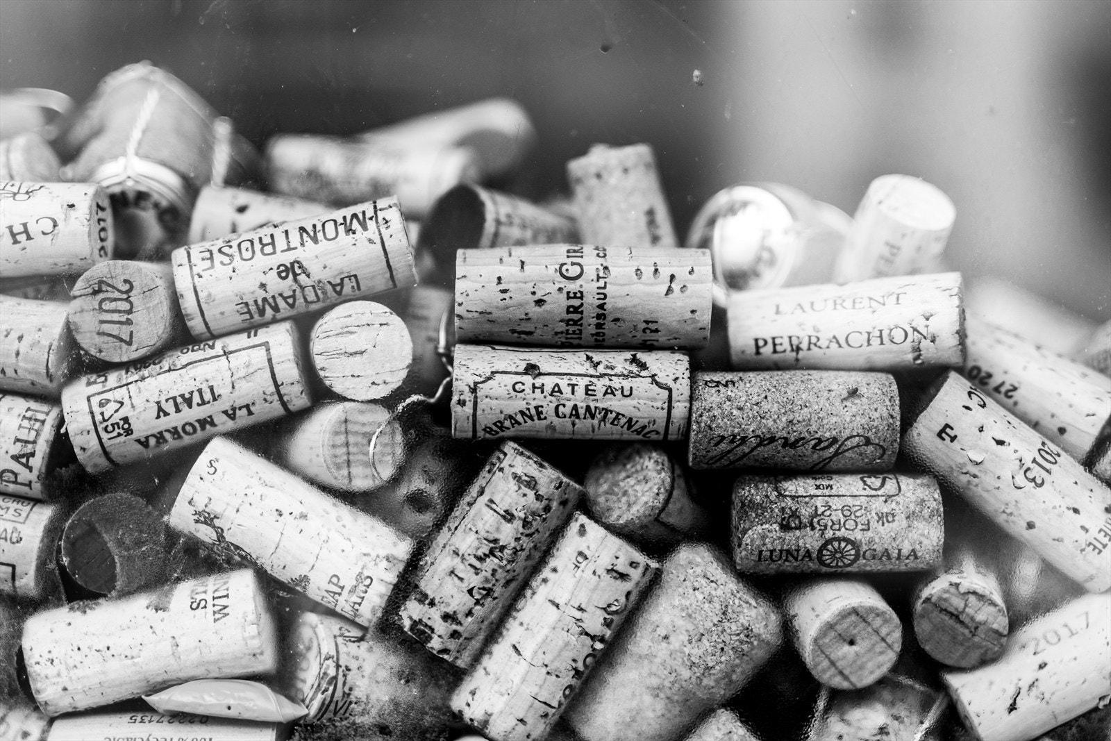 Nærområdet. Galleribilde