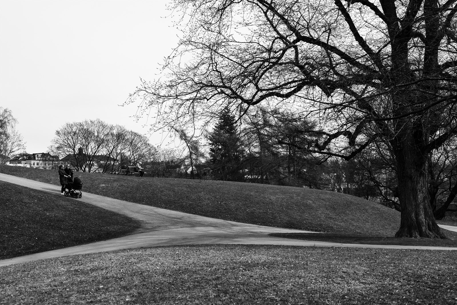 Nærområdet. Galleribilde