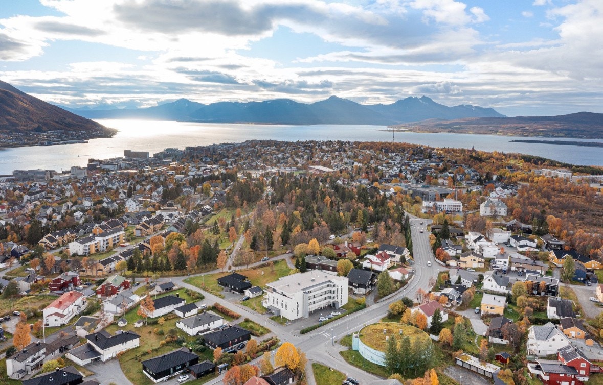 Friborg Galleribilde