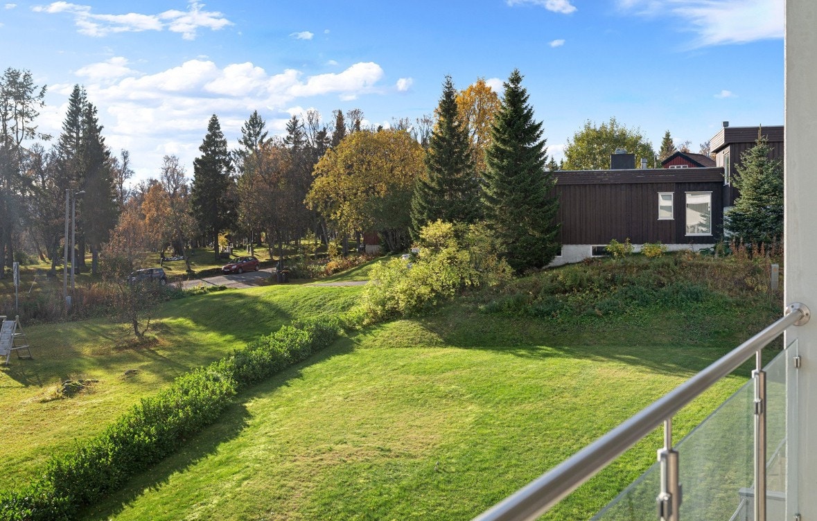 Mot sør, felles plen Galleribilde