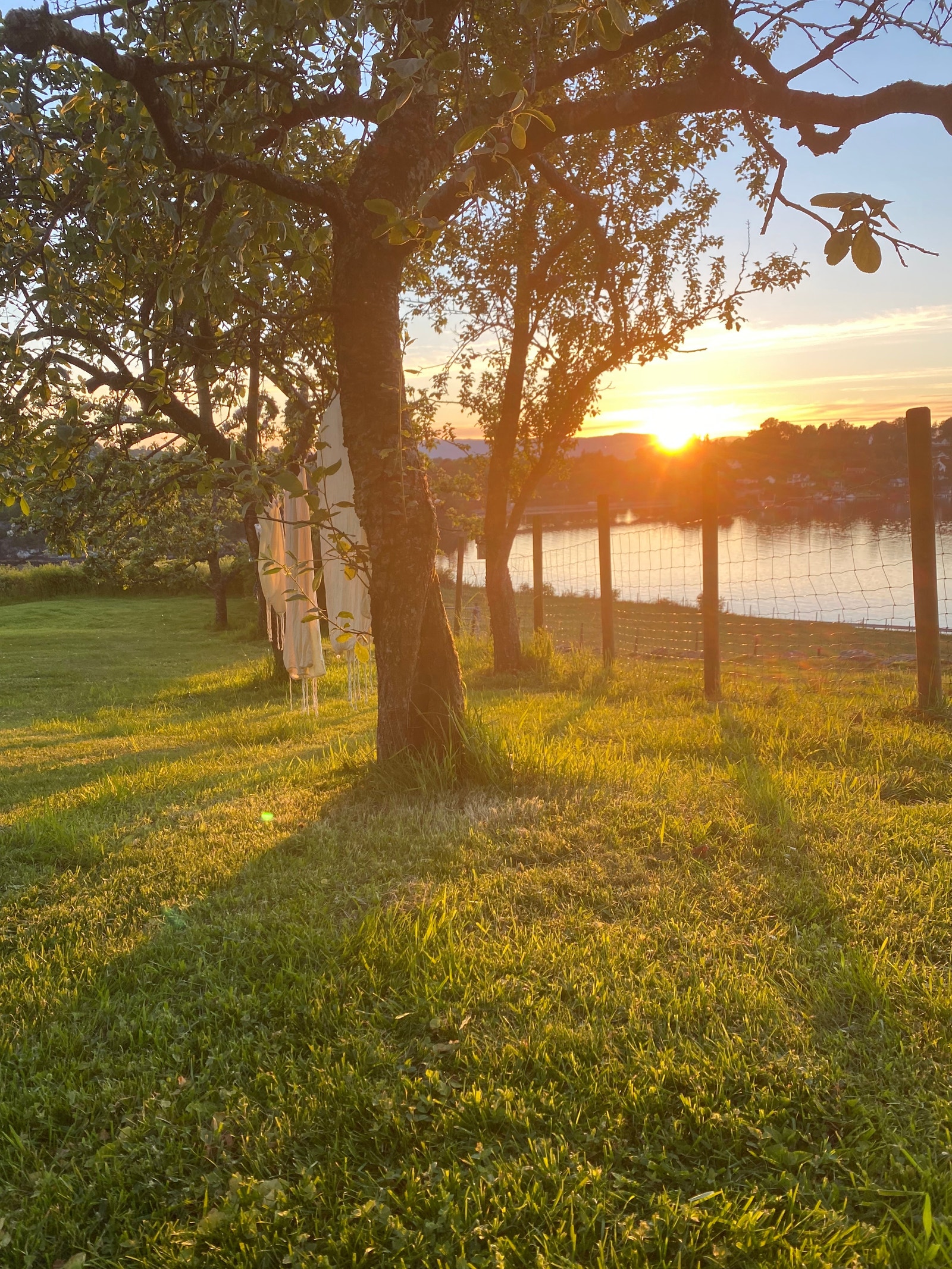 Utsikt fra hage. Her er klessnor og hengekøye. Galleribilde